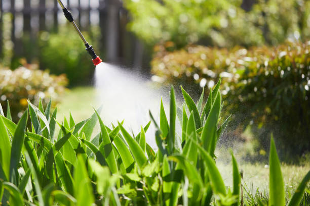 24/7 Emergency Mosquito Control experts in Lake Hopatcong, NJ