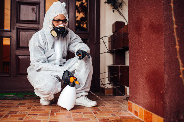 Reliable Mosquito Control contractor in Lake Hopatcong, NJ by Show Me Pest Control